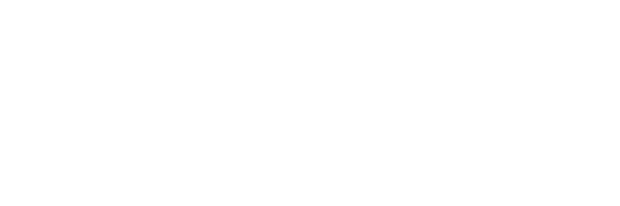 STICKS-Final Logo-WHT